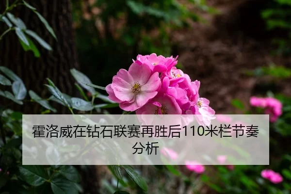 霍洛威在钻石联赛再胜后110米栏节奏分析