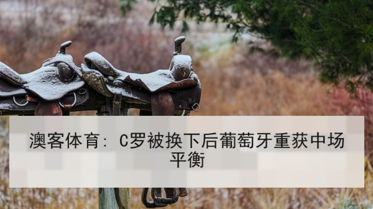 澳客体育: C罗被换下后葡萄牙重获中场平衡 澳客体育: C罗被换下后葡萄牙重获中场平衡