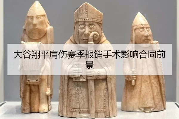 da-gu-xiang-ping-jian-shang-sai-ji-bao-xiao-shou-shu-ying-xiang-he-tong-qian-jing-3-524.jpg